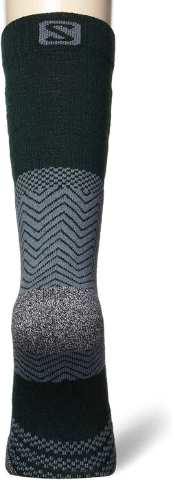 Salomon Standard Socks, Gables/Balsam Green