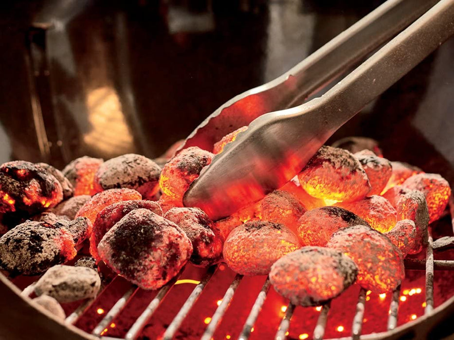 Weber 15301001 Performer Charcoal Grill, 22-Inch, Black