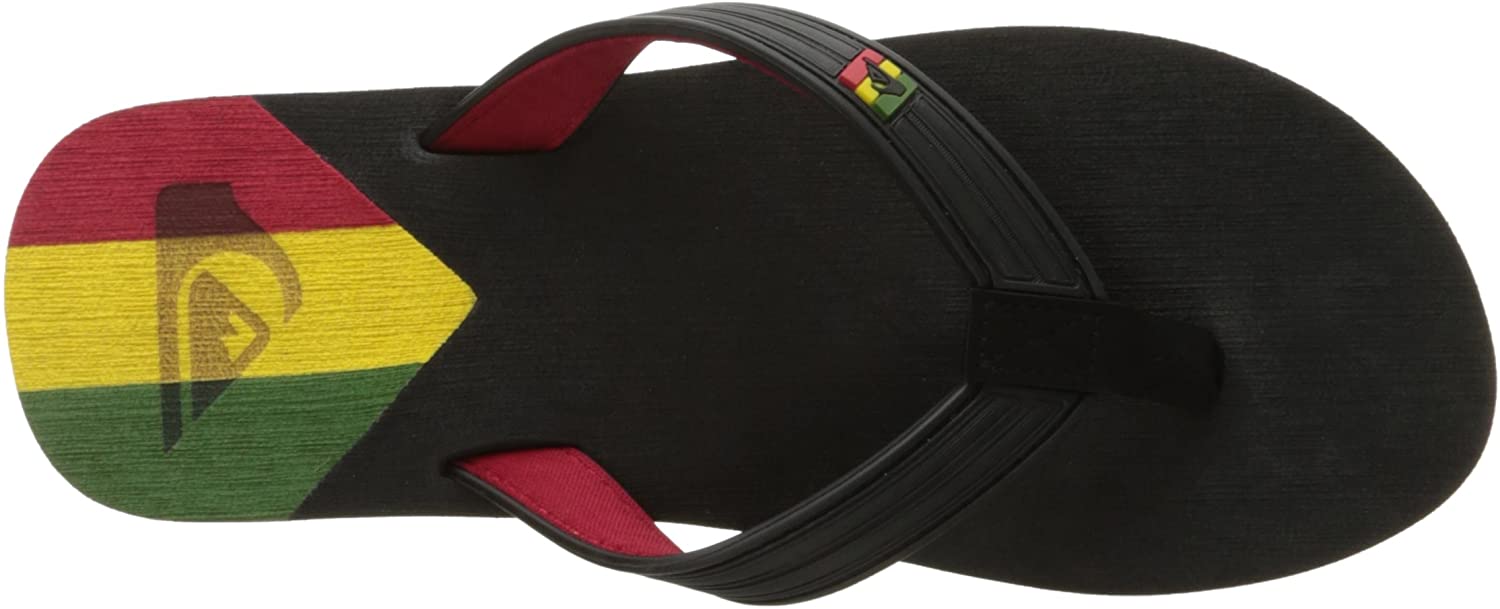 Quiksilver Men's Molokai New Wave Deluxe Flip-Flop Sandal
