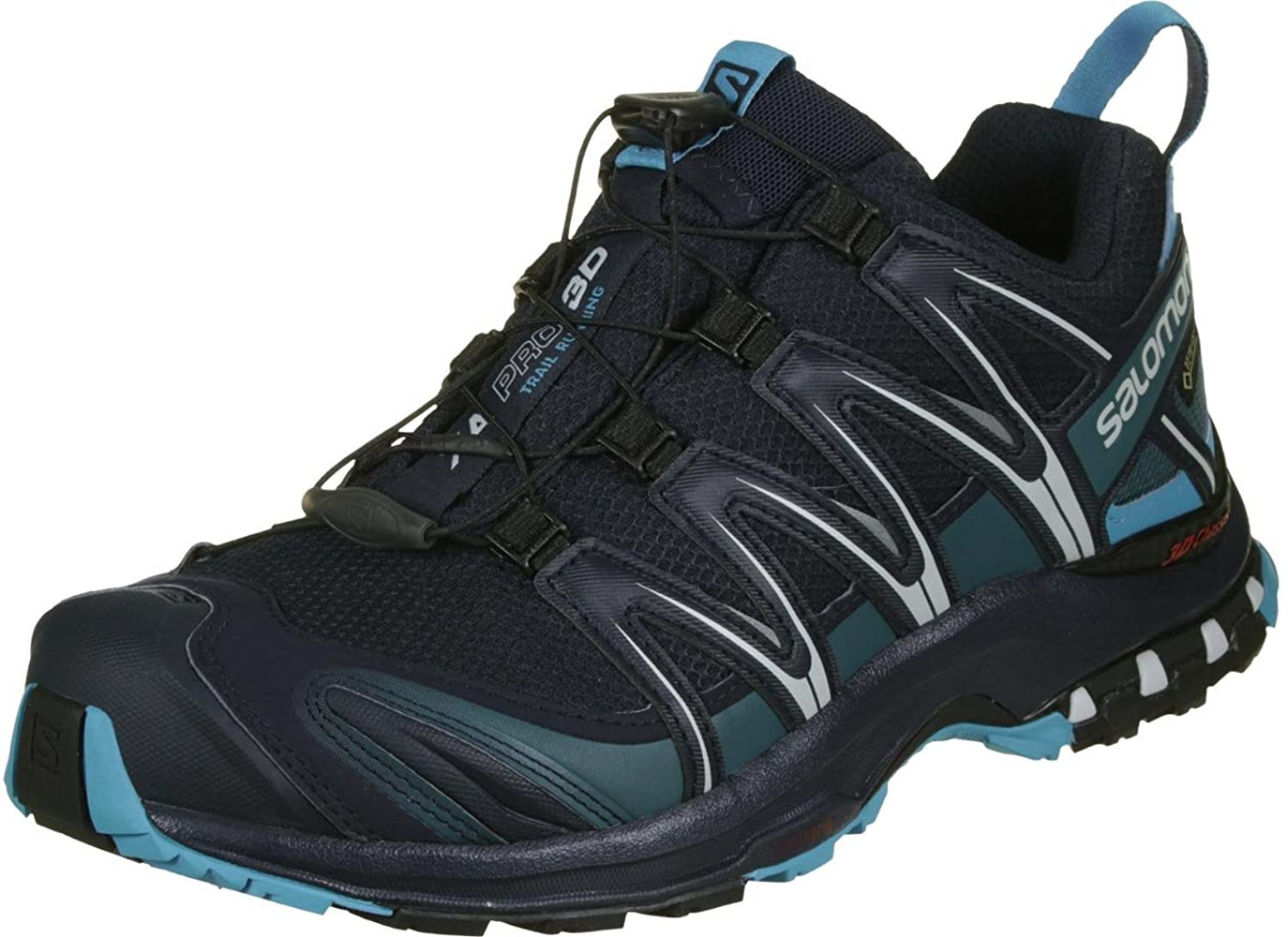 Salomon Men's XA Pro 3D GTX Trail Running Shoes