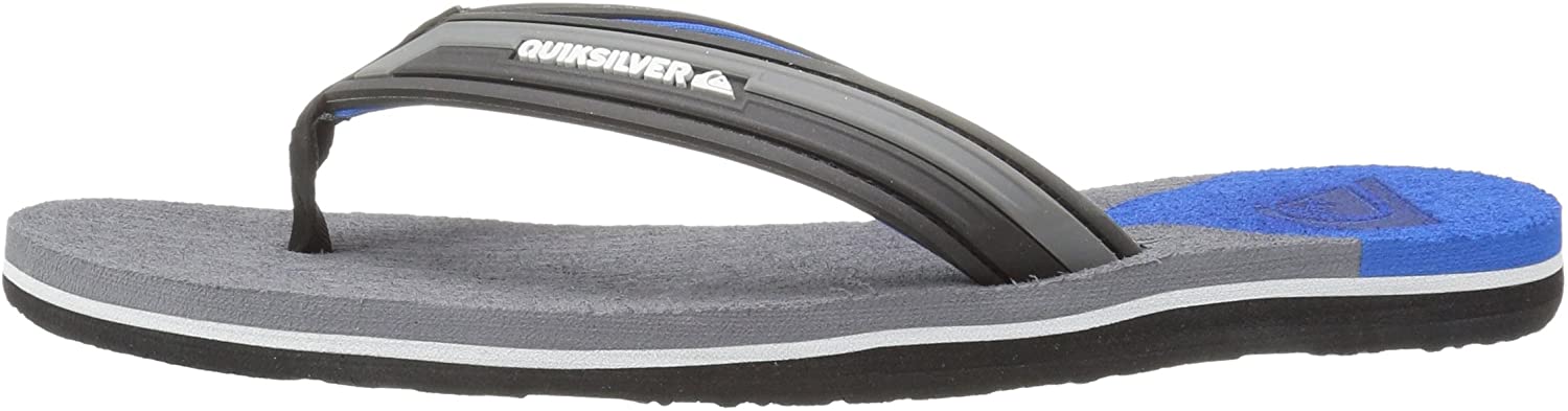 Quiksilver Men's Molokai New Wave Deluxe Flip-Flop Sandal