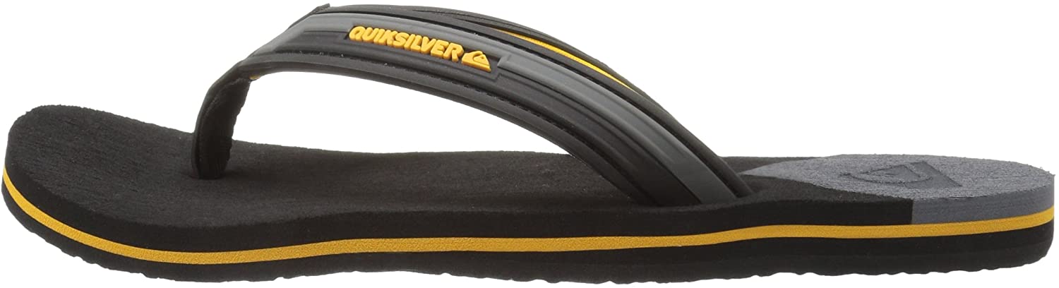 Quiksilver Men's Molokai New Wave Deluxe Flip-Flop Sandal