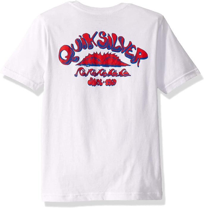 Quiksilver Boys' Big Wave Count Tee