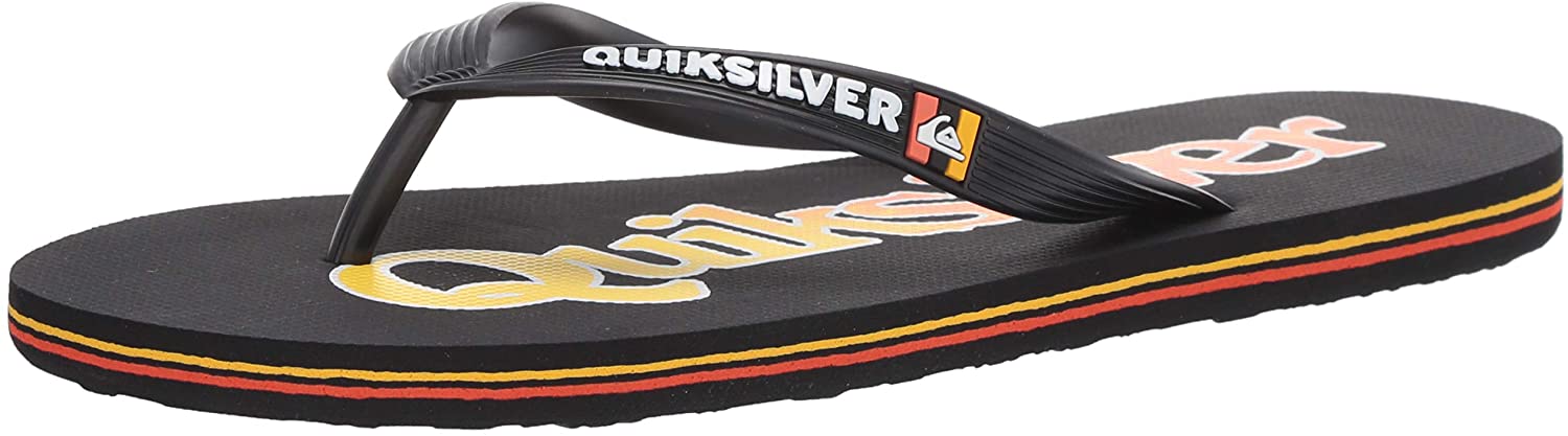 Quiksilver Men's Molokai Wordmark Fineline