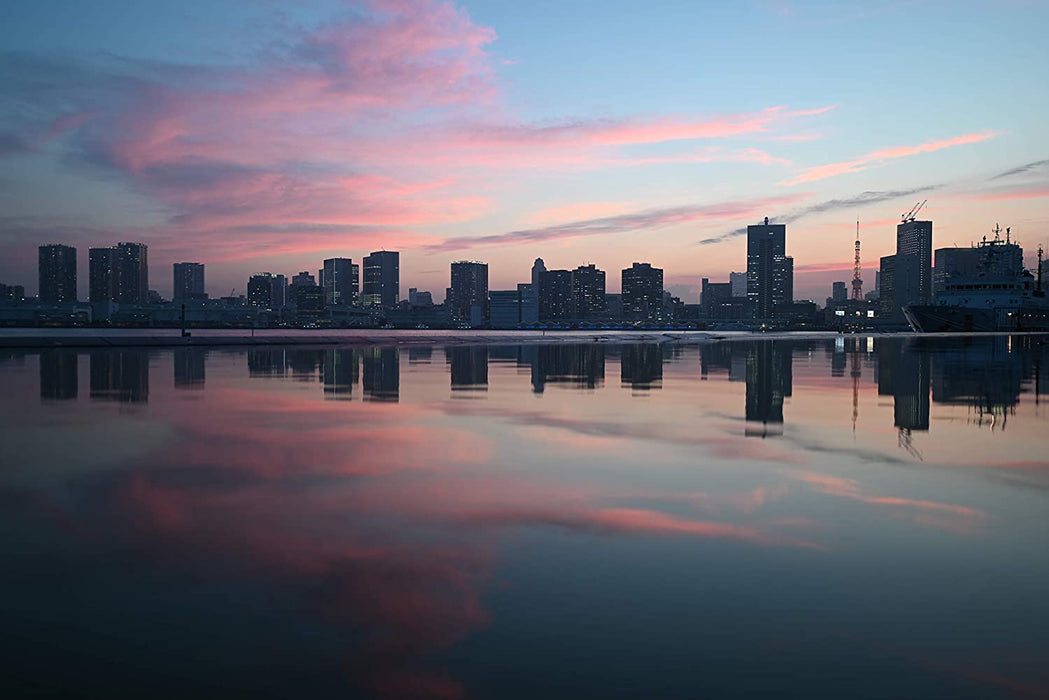 Nikon VOA040K003 Z5 + Z 24-50mm + FTZ Kit Mirrorless Camera (273-point Hybrid AF, 5-axis in-Body Optical Image stabilisation, 4K Movies, Duel Card Slots)