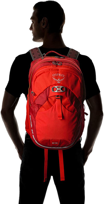 Osprey Radial 26 Daypack (Prior Season)