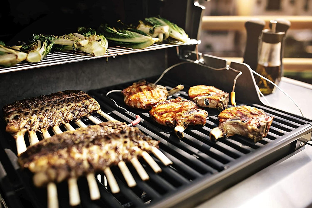 Weber 44010001 Spirit II E-210 2-Burner Liquid Propane Grill