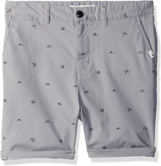 Quiksilver Boys' Krandy Fuji Youth Walk Shorts