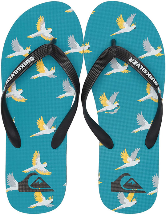 Quiksilver Men's Molokai Cockatoo Flip-Flop