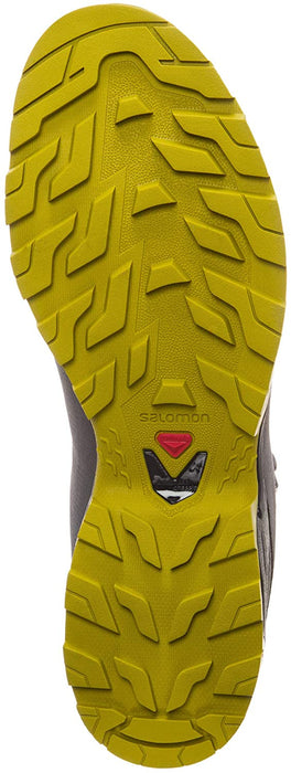 Salomon Men's X Ultra 3 GTX Hiking Shoes