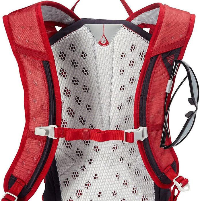 Gregory Mountain Products Miwok 12 Liter Men's Day Hiking Backpack | Trail Running, Mountain Biking, Travel | Durable Straps and Hipbelt