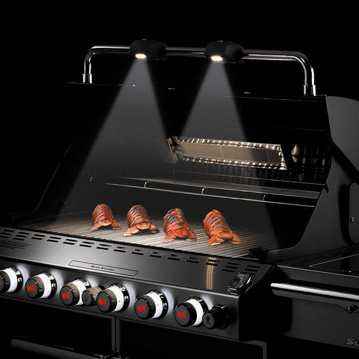 Weber 7371001 Summit E-670 6-Burner Liquid Propane Grill