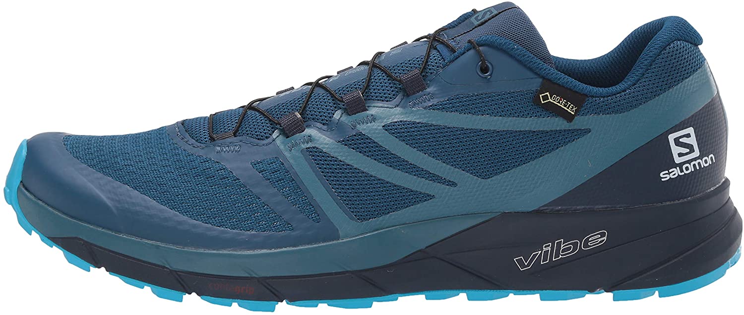 Salomon Men's Sense Ride 2 GTX Invisible Fit Trail Running