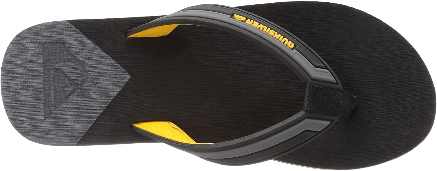 Quiksilver Men's Molokai New Wave Deluxe Flip-Flop Sandal