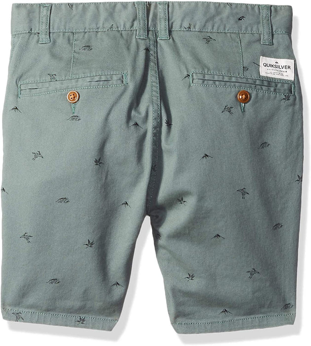 Quiksilver Boys' Krandy Fuji Youth Walk Shorts