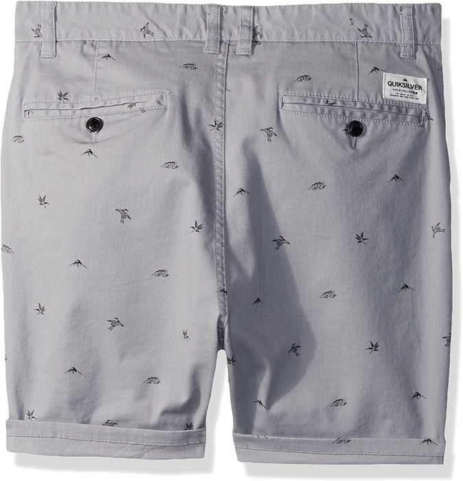 Quiksilver Boys' Krandy Fuji Youth Walk Shorts