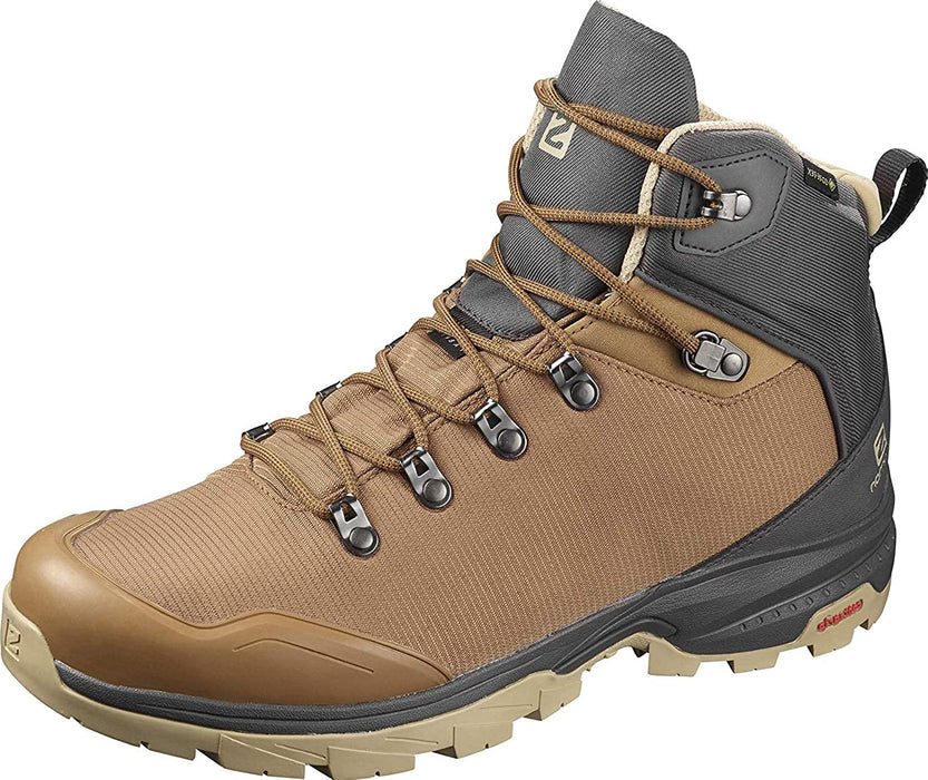 Salomon Men's X Ultra 3 GTX Hiking Shoes