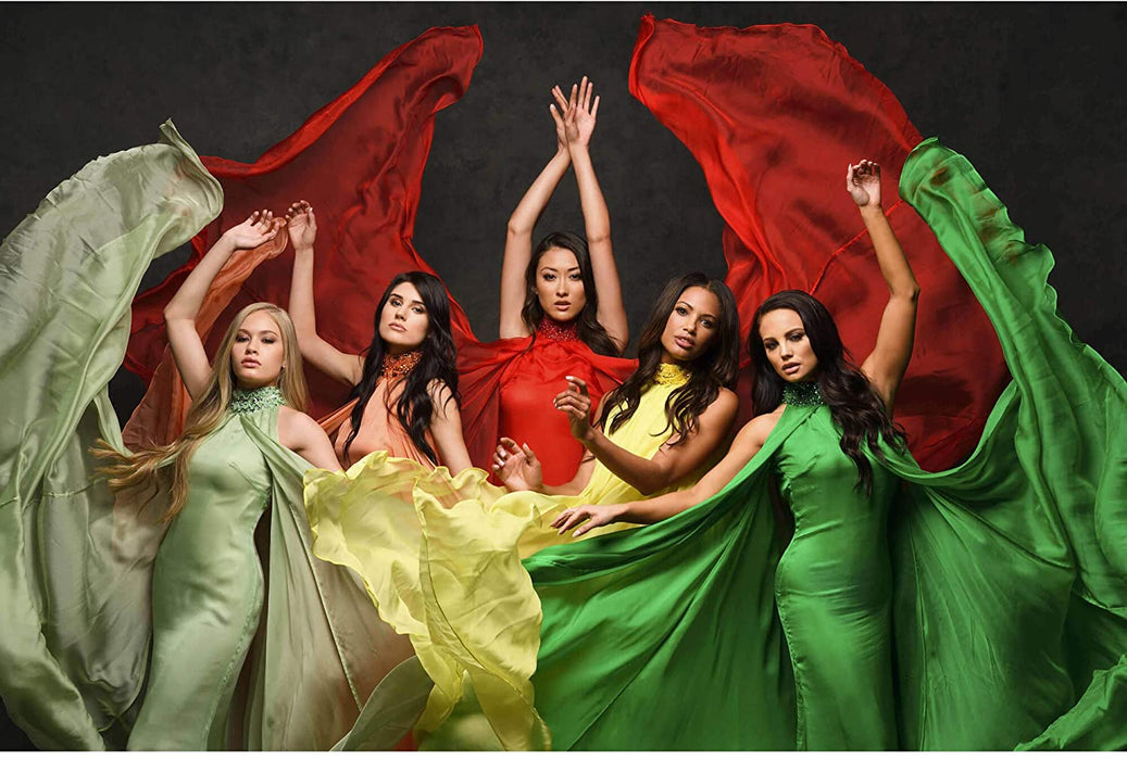 Nikon D850 FX-Format Full Frame DSLR 4K Camera Body 1585 Filmmaker's Kit with DJI Ronin-S Essentials Kit 3-Axis Handheld Gimbal Stabilizer Bundle + Deco Photo Backpack Case + 64GB Card + Software