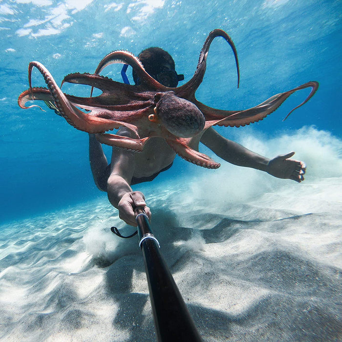 GoPro HERO9 Black - Waterproof Action Camera with Front LCD and Touch Rear Screens, 5K Ultra HD Video, 20MP Photos, 1080p Live Streaming, Webcam