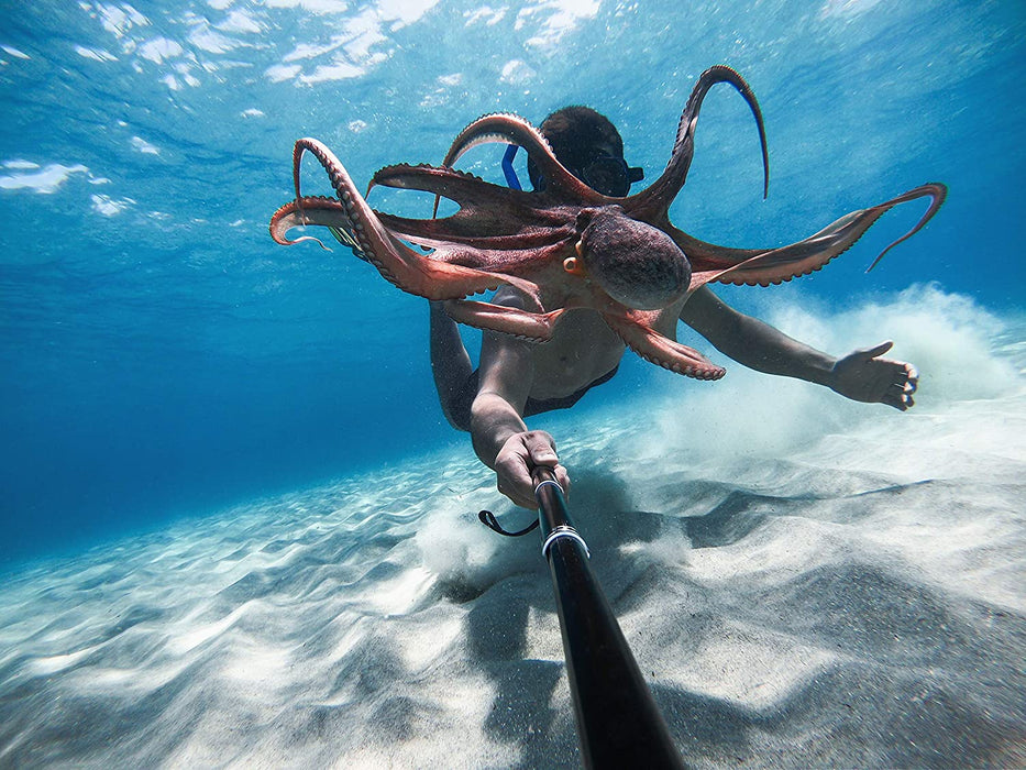 GoPro HERO9 Black - Waterproof Action Camera with Front LCD and Touch Rear Screens, 5K Ultra HD Video, 20MP Photos, 1080p Live Streaming, Webcam