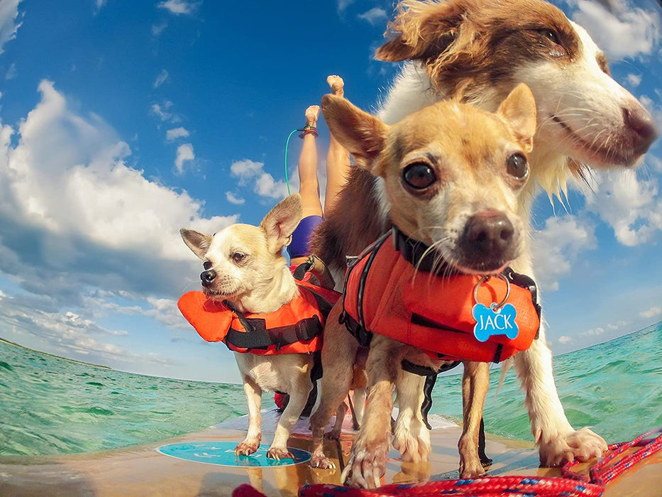 GoPro HERO5 Black w/ 3-Way Grip