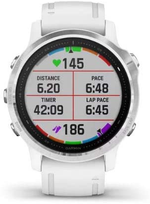 Garmin Fenix 6S Multisport GPS Smartwatch (White with White Band) Performance Bundle (4 Items)