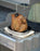 Weber 6731 Poultry Roaster