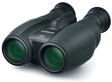 Canon Cameras US 12X32 is Image Stabilizing Binocular, Black (1373C002)