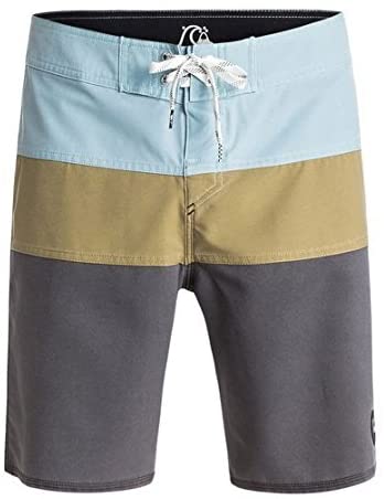Quiksilver Men's The Panel Vee 19 Inch Boardshort