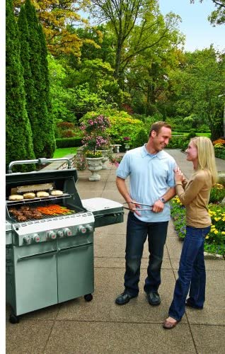 Weber 7270001 Summit S-470 4-Burner Natural Gas Grill, Stainless Steel