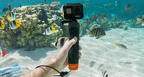 GoPro The Handler Floating Hand Grip (All GoPro Cameras) - Official GoPro Mount