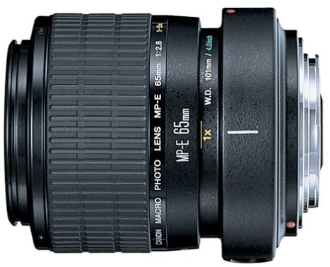 Canon MP-E 65mm f/2.8 1-5X Macro Lens for Canon SLR Cameras