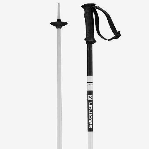 Salomon x North, 110