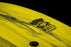 Hyperlite Wingman Jr. Kids Wakesurfer Yellow/Black 3Ft 9in