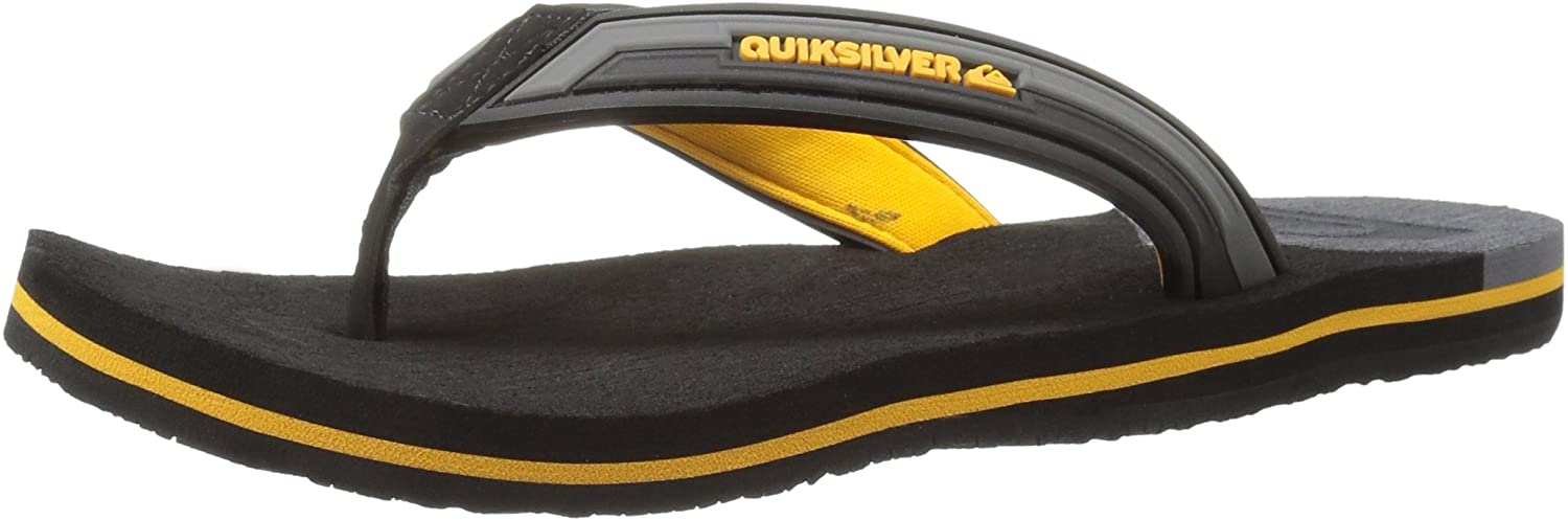 Quiksilver Men's Molokai New Wave Deluxe Flip-Flop Sandal