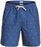Quiksilver Men's Airbourne Fishes Volley 18 Swim Trunk Boardshorts