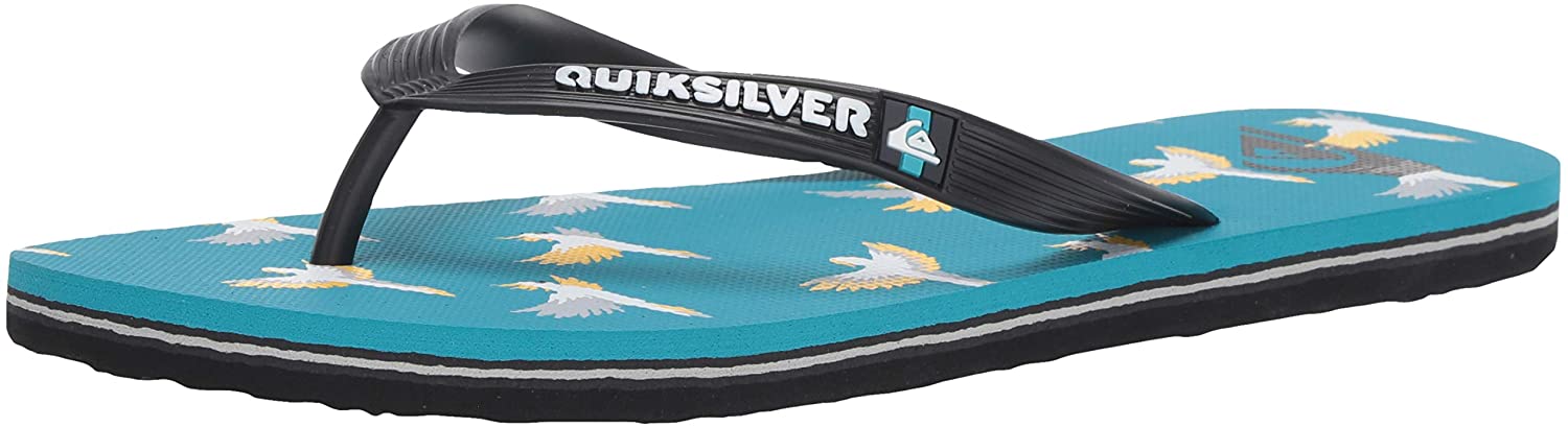 Quiksilver Men's Molokai Cockatoo Flip-Flop