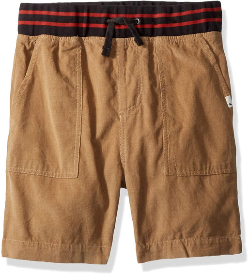 Quiksilver Men's Big Boys' No Surprise Walk Short Youth