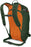 Osprey Soelden 22 Men's Ski Backpack
