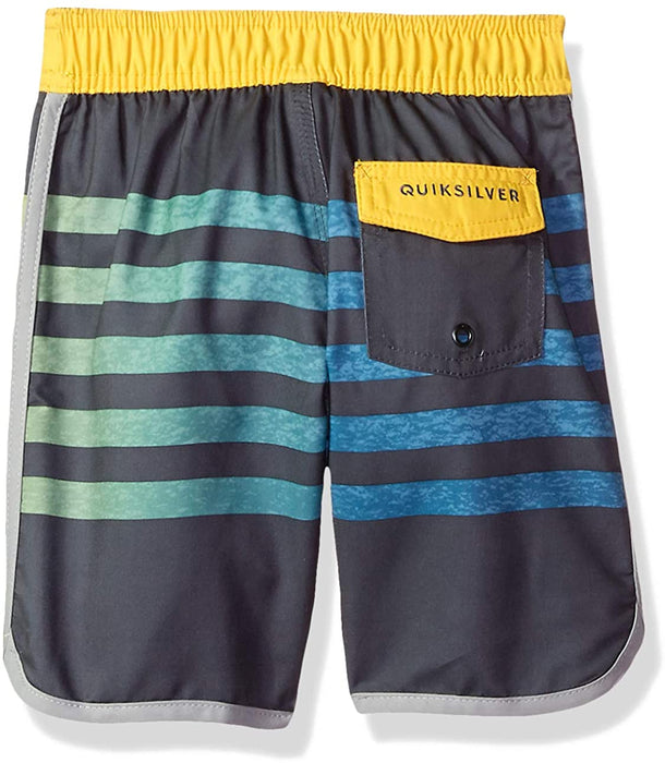 Quiksilver Boys' Little Everyday Grass Roots 14 Boardshort Swim Trunk