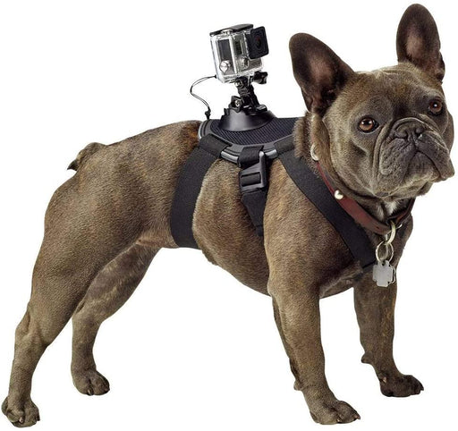 GoPro Fetch Dog Harness (All GoPro Cameras) - Official GoPro Mount