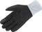 Salomon Standard Equipe Glove, BLACK/KENTUCKY BLUE, Large