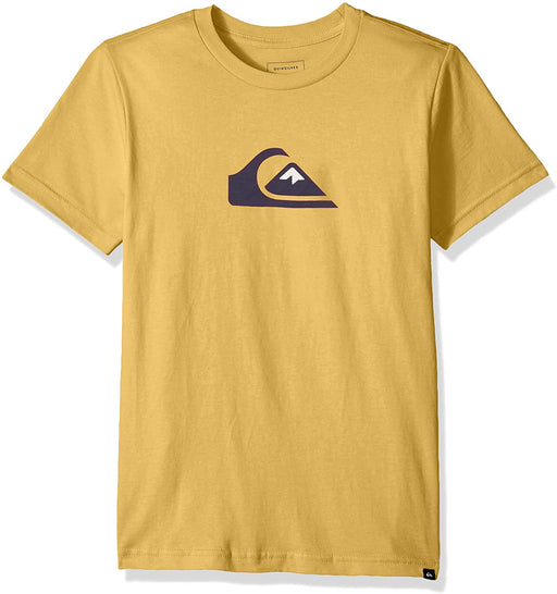 Quiksilver Boys' Big Mw Logo Tee