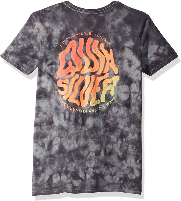 Quiksilver Boys' Big Melted Type Youth Tee