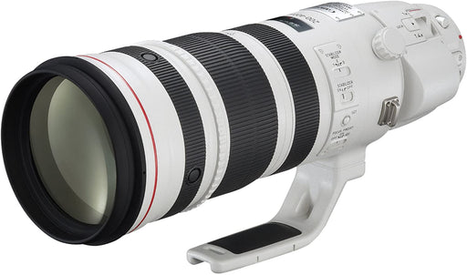 Canon EF 200-400mm f/4L IS USM Extender 1.4x