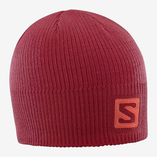 Salomon Logo Beanie