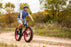 Mongoose Dolomite Fat Tire Mens Mountain Bike,17-Inch/Medium High-Tensile Steel Frame, 7-Speed, 26-inch Wheels