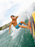 GoPro HERO4 BLACK Surf Bundle